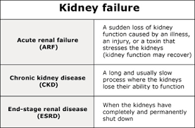 Kidney Problems