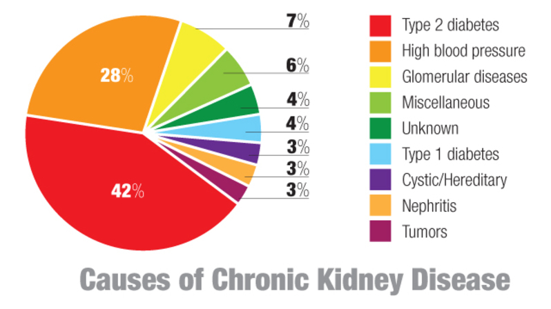 Causes for Kidney disease