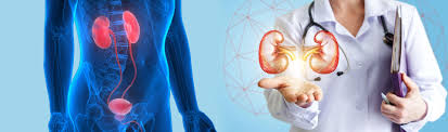 Renal Angiography in Turkey – Find Cost Estimate, Reviews and Book Appointment