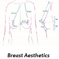 Breast Aesthetic